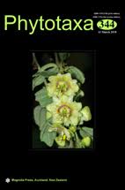 Attēlu rezultāti vaicājumam “Stemonaria irregularis”