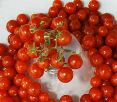 Afbeeldingsresultaat voor hawaiian white cherry tomato