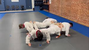 Image result for Freedom Martial Arts
