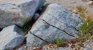 Image result for intemperismo