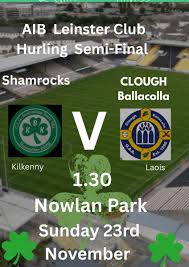 Image result for Shamrocks Hurling & Football Club