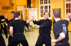 Image result for Hung Kuen School Of Shaolin Kung Fu