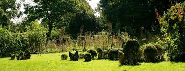 Image result for Priona Tuinen