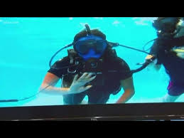 Image result for Cleveland Divers