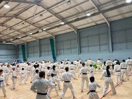 Image result for Woodley Karate Club