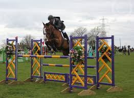 Image result for Jp-Sheffield Eventing