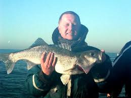 Image result for Guildford Angling Society