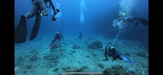 Image result for Tornado Divers