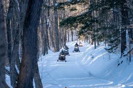 Image result for snowmobile