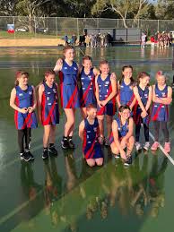 Image result for Tiffin Junior Netball Club