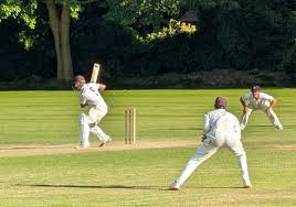 Image result for Eastnor Cricket Club