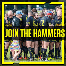 Image result for Haslemere Rugby Football Club