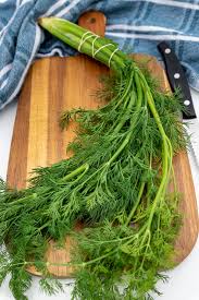 Image result for Dill