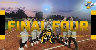 Image result for Lions Softball Club