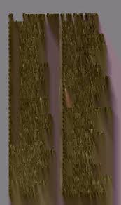 Attēlu rezultāti vaicājumam “Licea pusilla young”