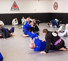 Image result for Alpha Judo Club
