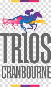 Image result for Cranborne Association Of Sports Clubs