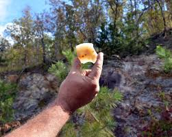 Image result for SEM micrographs of Novaculite Arkansas