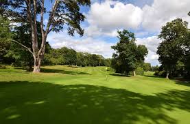Image result for Puttenham Golf Club