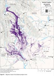 Image result for jonah gas field