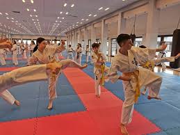 Image result for Chikara Dojo Of Kyokushin Karate
