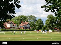 Image result for Henley Cricket Club