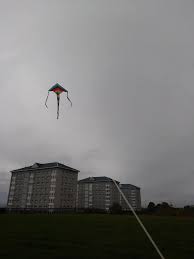 Image result for Poole Kite Fliers