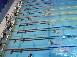 Image result for Plymouth Leander Swimming Association