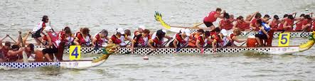 Image result for Wam Dragon Boat Racing Team