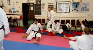 Image result for Broadwell Karate Club