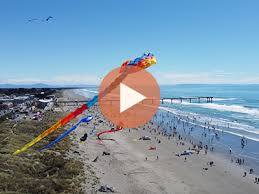 Image result for Brighton Kite Fliers