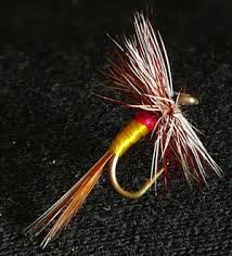 Image result for Dulverton Angling Association