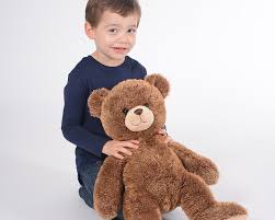 Image result for テディ