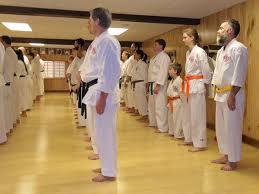 Image result for Budo Shin Ryu Kempo Jujitsu Academy