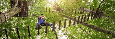 Image result for Go Ape! Thetford