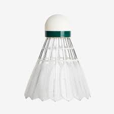 Image result for Shuttles Badminton Club (Frome)