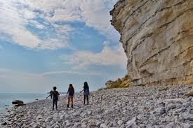 Image result for stevns klint