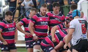 Image result for Dudley and Stourbridge Harriers Athletics Club