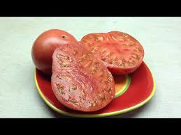 Afbeeldingsresultaat voor caspian pink tomato