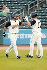 Image result for Sidewinders Baseball Club