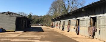 Image result for Shey Copse Riding Centre