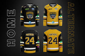 Image result for Nottingham Panthers