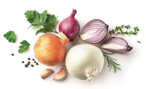 Image result for Zwiebeln