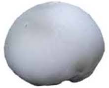 Attēlu rezultāti vaicājumam “Langermania gigantea”