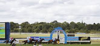 Image result for Sandown Sports Club