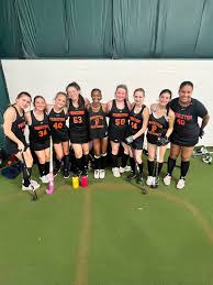 Image result for Felixstowe Hockey Club