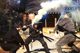 Image result for Bujinkan Truro Dojo
