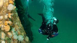 Image result for Belper Sub Aqua