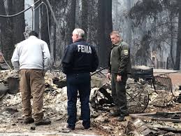 Image result for Camp FEMA