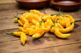 Afbeeldingsresultaat voor mme jeanette hot pepper